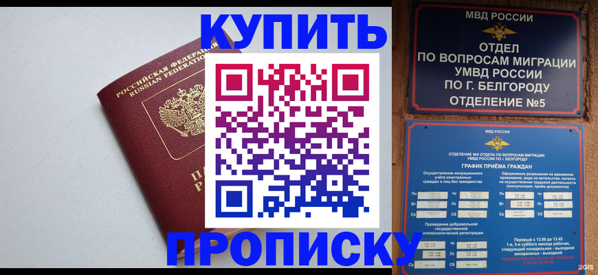 прописка регистрация в Североморске